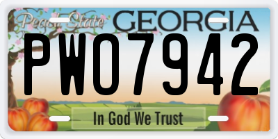 GA license plate PWO7942