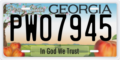 GA license plate PWO7945