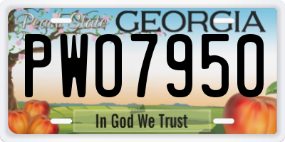 GA license plate PWO7950