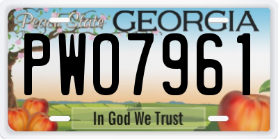 GA license plate PWO7961