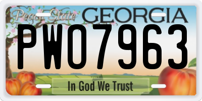 GA license plate PWO7963