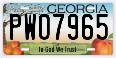 GA license plate PWO7965