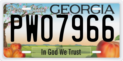 GA license plate PWO7966