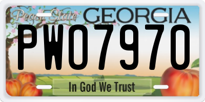 GA license plate PWO7970