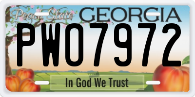 GA license plate PWO7972