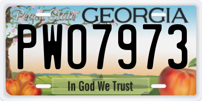 GA license plate PWO7973
