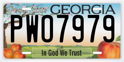 GA license plate PWO7979