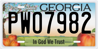 GA license plate PWO7982