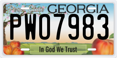 GA license plate PWO7983