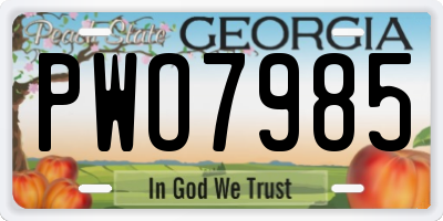 GA license plate PWO7985