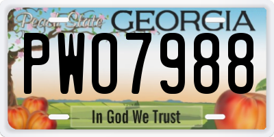 GA license plate PWO7988