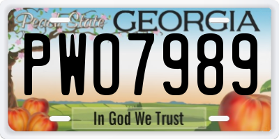 GA license plate PWO7989