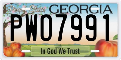 GA license plate PWO7991