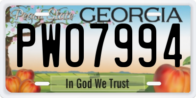 GA license plate PWO7994