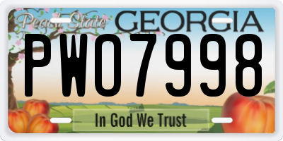 GA license plate PWO7998