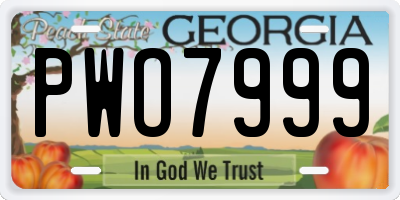 GA license plate PWO7999