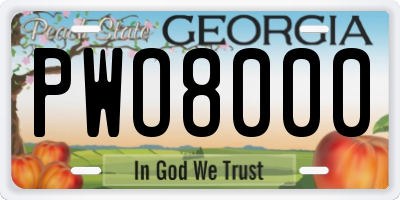 GA license plate PWO8000