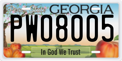 GA license plate PWO8005