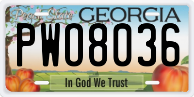 GA license plate PWO8036