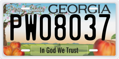 GA license plate PWO8037