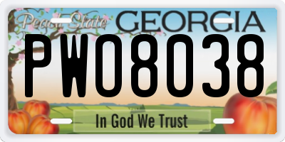 GA license plate PWO8038