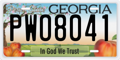 GA license plate PWO8041