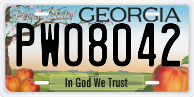 GA license plate PWO8042