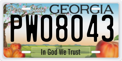 GA license plate PWO8043