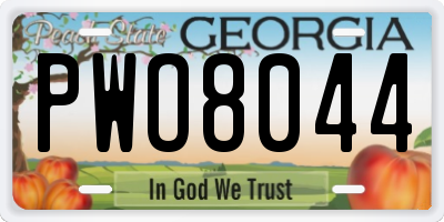 GA license plate PWO8044