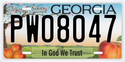 GA license plate PWO8047