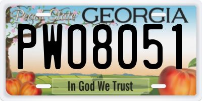 GA license plate PWO8051