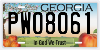GA license plate PWO8061