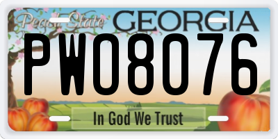 GA license plate PWO8076