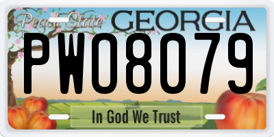 GA license plate PWO8079