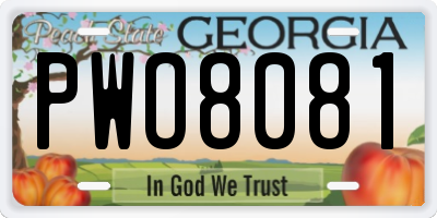 GA license plate PWO8081