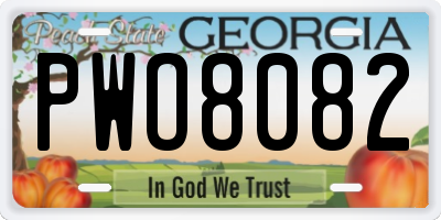 GA license plate PWO8082