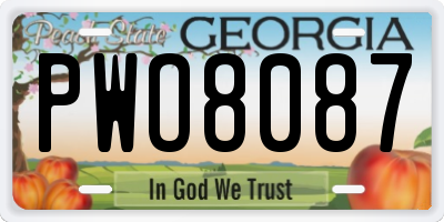 GA license plate PWO8087