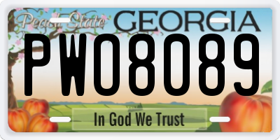 GA license plate PWO8089