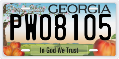 GA license plate PWO8105
