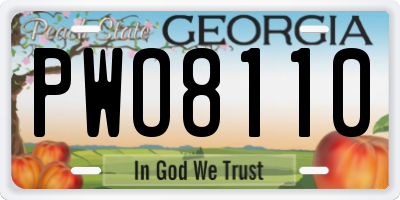 GA license plate PWO8110