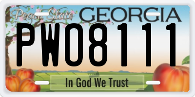 GA license plate PWO8111