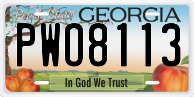 GA license plate PWO8113