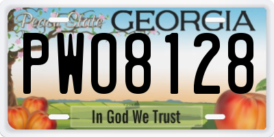 GA license plate PWO8128
