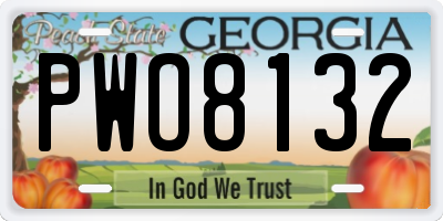 GA license plate PWO8132