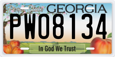GA license plate PWO8134