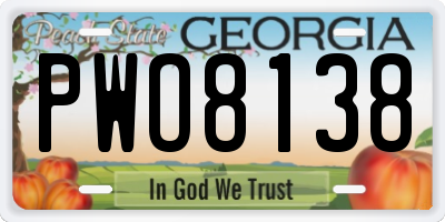 GA license plate PWO8138