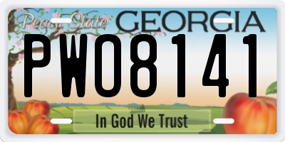 GA license plate PWO8141