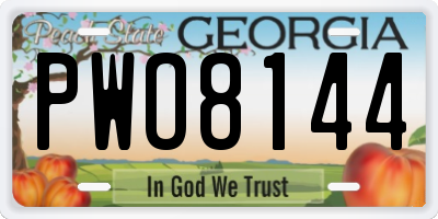 GA license plate PWO8144