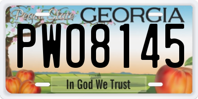 GA license plate PWO8145