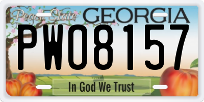 GA license plate PWO8157